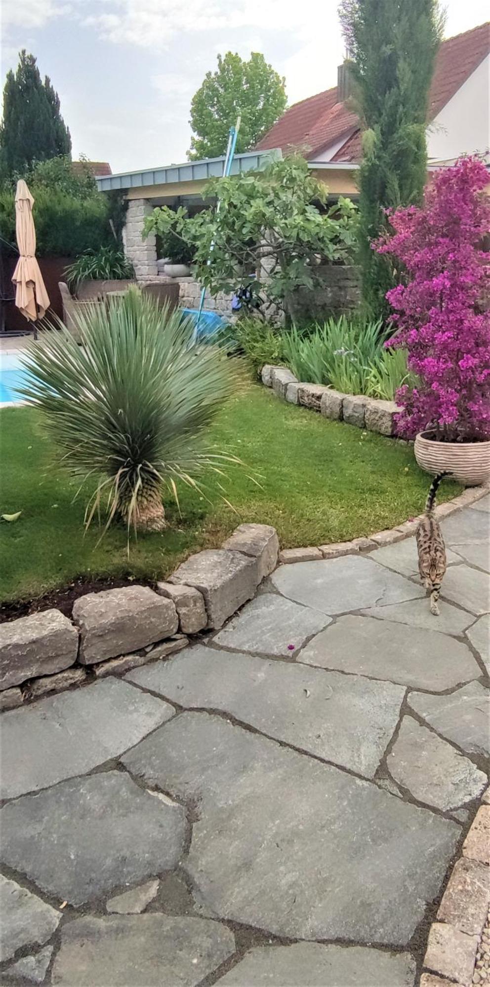 Bel Giardino Apartment ฟรีดริชส์ฮาเฟน ภายนอก รูปภาพ